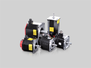 Servo motor and driver