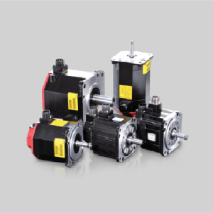 Servo motor and driver